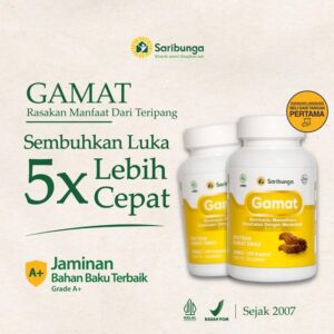Gamat SB Kapsul Original Saribunga - Mempercepat Proses Penyembuhan Luka & Meringankan Nyeri Sendi - 30 Kapsul